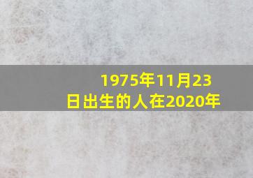 1975年11月23日出生的人在2020年