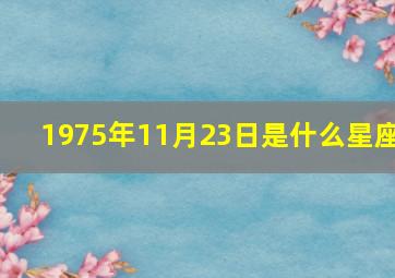 1975年11月23日是什么星座