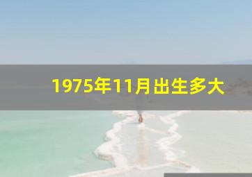 1975年11月出生多大