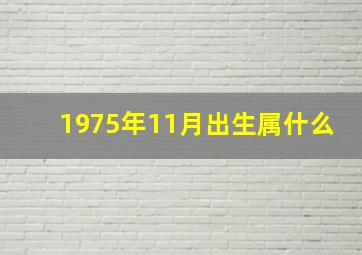 1975年11月出生属什么