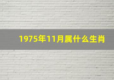 1975年11月属什么生肖