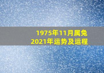 1975年11月属兔2021年运势及运程