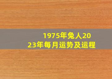 1975年兔人2023年每月运势及运程