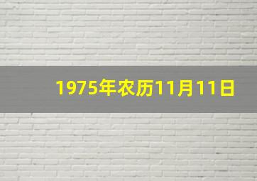 1975年农历11月11日