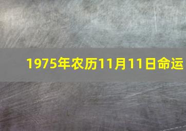 1975年农历11月11日命运