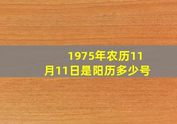 1975年农历11月11日是阳历多少号