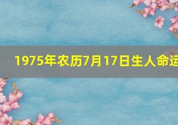 1975年农历7月17日生人命运