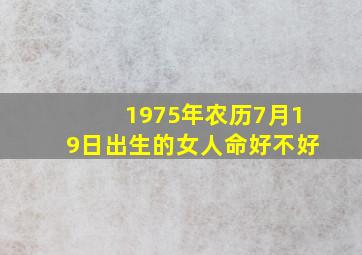 1975年农历7月19日出生的女人命好不好