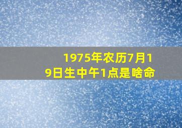 1975年农历7月19日生中午1点是啥命