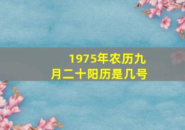 1975年农历九月二十阳历是几号