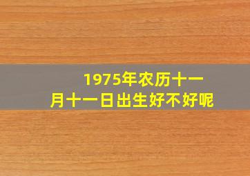 1975年农历十一月十一日出生好不好呢