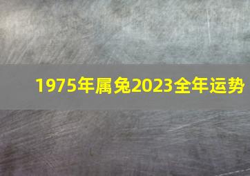 1975年属兔2023全年运势