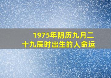 1975年阴历九月二十九辰时出生的人命运