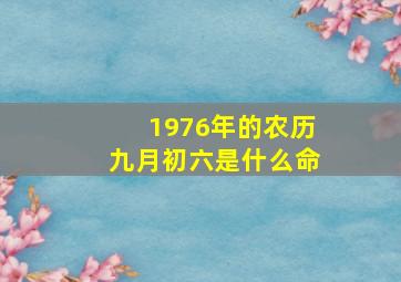 1976年的农历九月初六是什么命