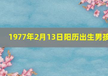 1977年2月13日阳历出生男孩