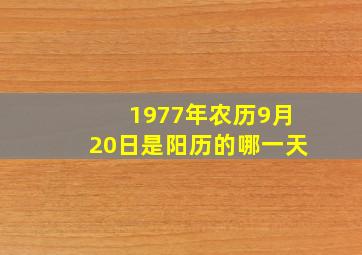 1977年农历9月20日是阳历的哪一天