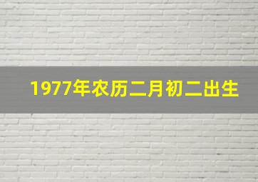 1977年农历二月初二出生