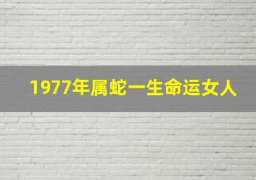 1977年属蛇一生命运女人