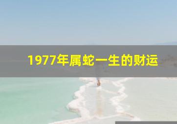 1977年属蛇一生的财运