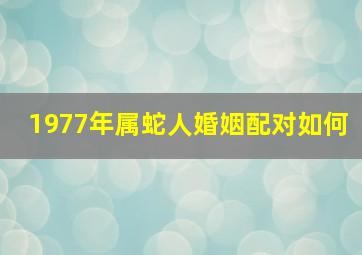 1977年属蛇人婚姻配对如何