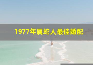 1977年属蛇人最佳婚配