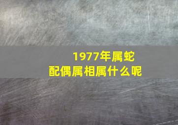 1977年属蛇配偶属相属什么呢