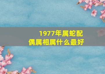 1977年属蛇配偶属相属什么最好