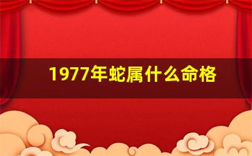 1977年蛇属什么命格