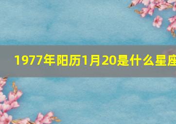 1977年阳历1月20是什么星座