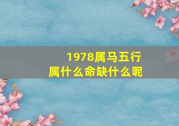 1978属马五行属什么命缺什么呢