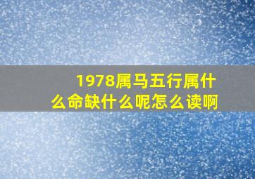 1978属马五行属什么命缺什么呢怎么读啊