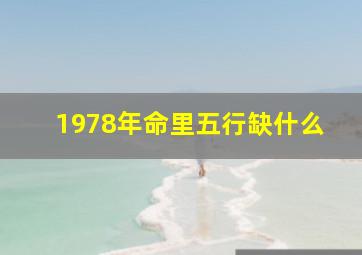 1978年命里五行缺什么