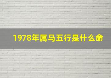 1978年属马五行是什么命