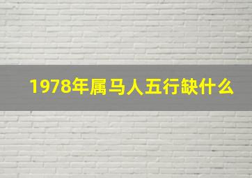 1978年属马人五行缺什么