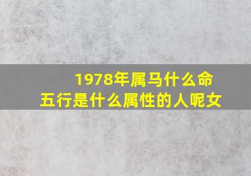 1978年属马什么命五行是什么属性的人呢女