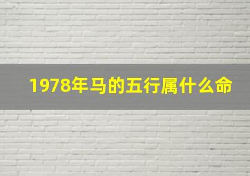 1978年马的五行属什么命