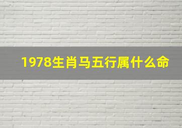 1978生肖马五行属什么命