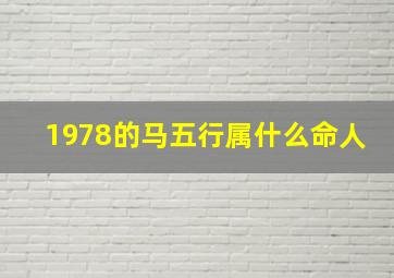 1978的马五行属什么命人