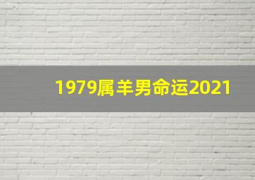 1979属羊男命运2021