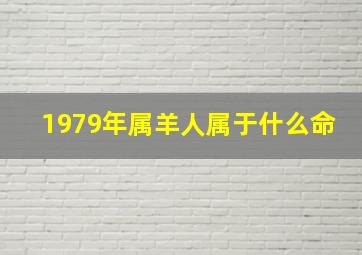 1979年属羊人属于什么命