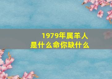 1979年属羊人是什么命你缺什么