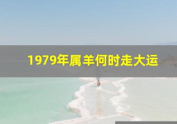 1979年属羊何时走大运