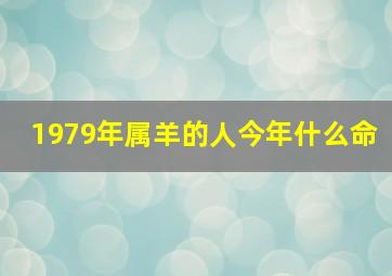 1979年属羊的人今年什么命