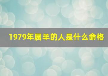 1979年属羊的人是什么命格