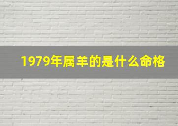 1979年属羊的是什么命格