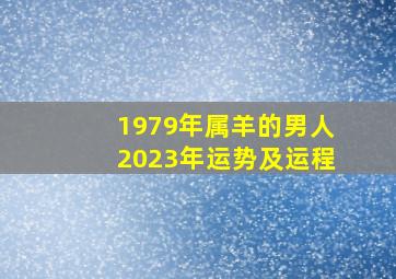 1979年属羊的男人2023年运势及运程