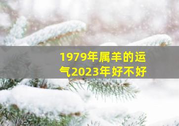 1979年属羊的运气2023年好不好