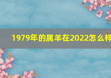 1979年的属羊在2022怎么样