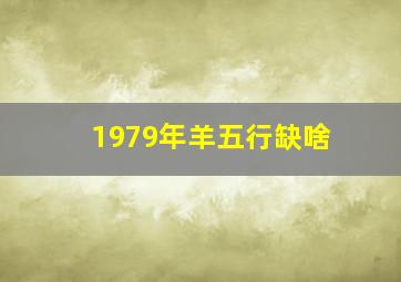 1979年羊五行缺啥