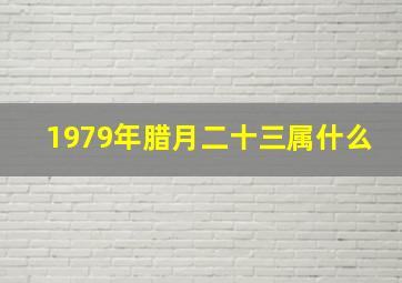 1979年腊月二十三属什么